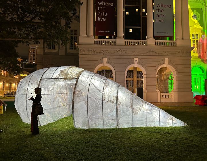 light to night festival 2026 art installations