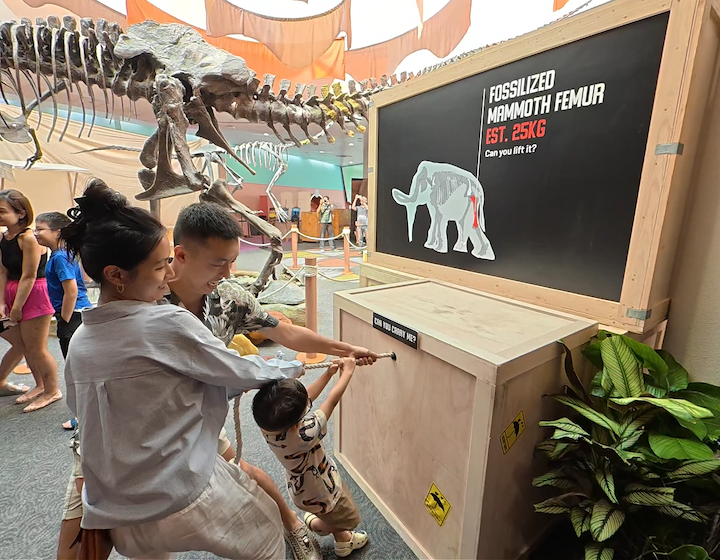 march school holiday activities - science centre singapore 