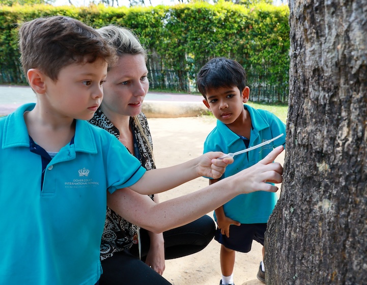preschool singapore - dover court international school
