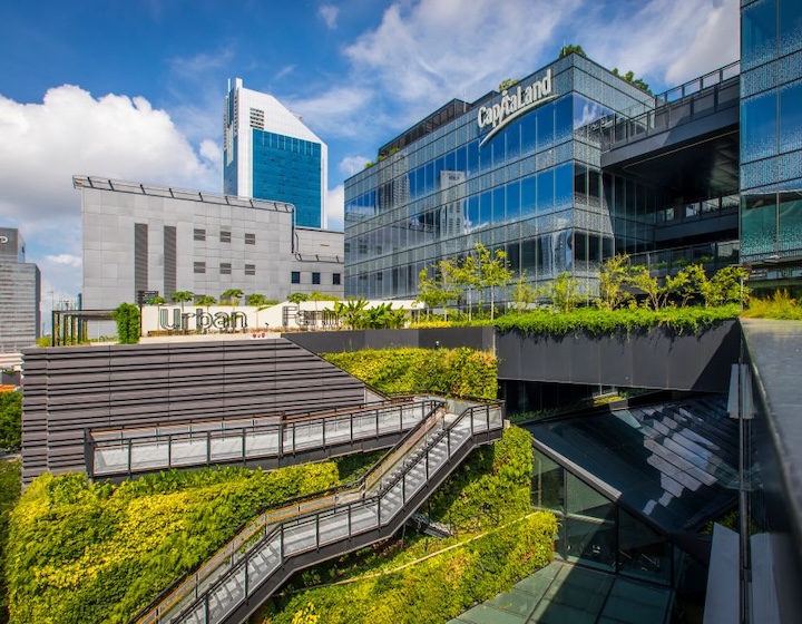 rooftop garden singapore - funan urban farm