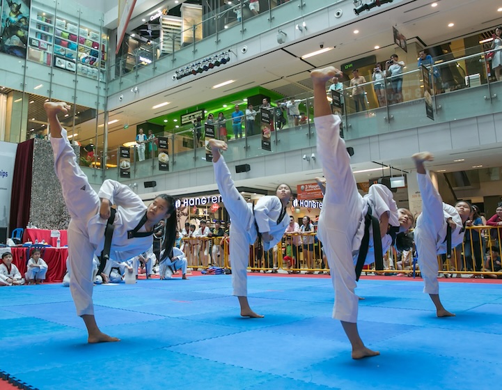 taekwondo singapore - Taekwondonomics