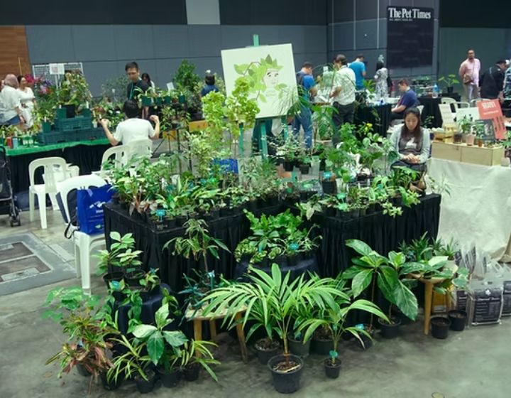 weekend markets and flea markets in singapore - pets & plants extravaganza