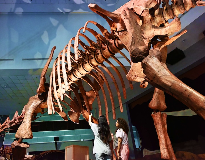 science centre singapore - dinosaur exhibition