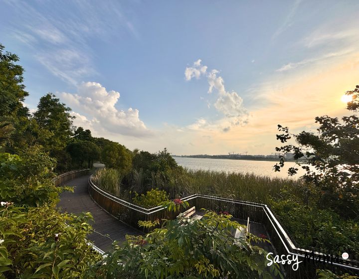best sunset spots singapore - rower's bay park