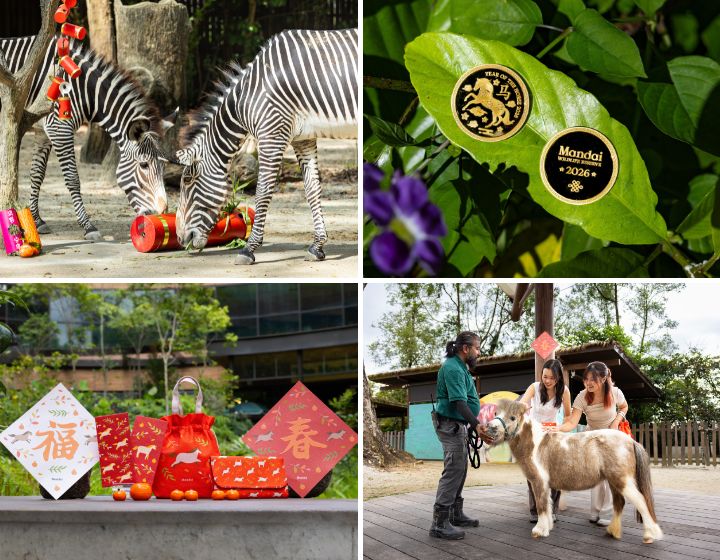 cny activities events - mandai wildlife reserve