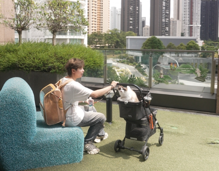 great world purrtown