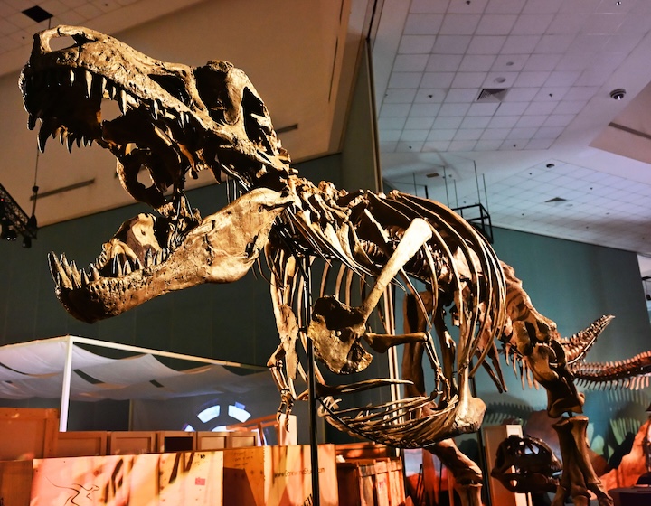 science centre singapore - dino world