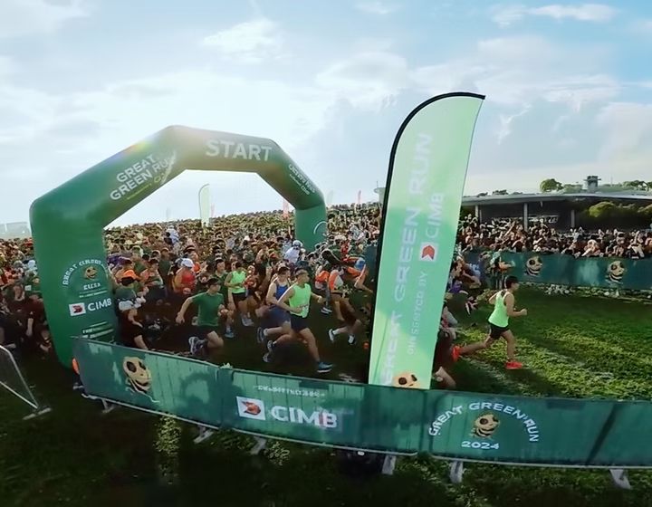 singapore marathons and running events - great green run