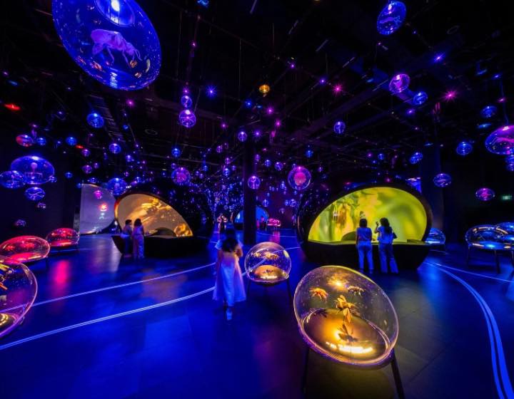 things to do this weekend in singapore - exploria mandai