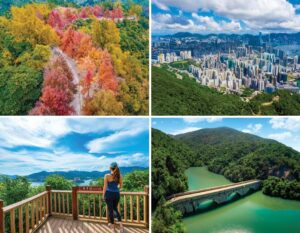 hong kong hiking trails