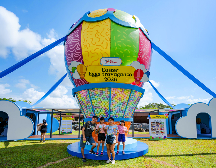 mandai wildlife reserve - easter