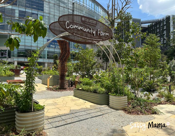 temasek shophouse community farm