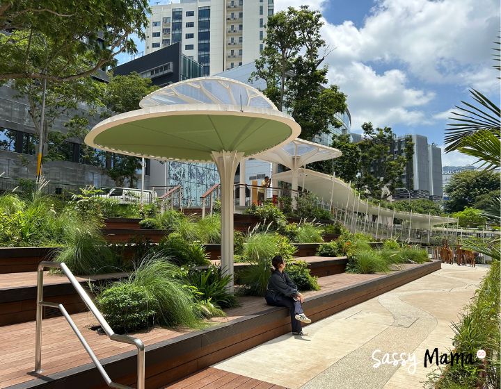 free things to do this weekend in singapore -temasek shophouse dhoby ghaut orchard road