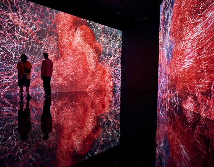 kid friendly art exhibitions in singapore - artscience museum