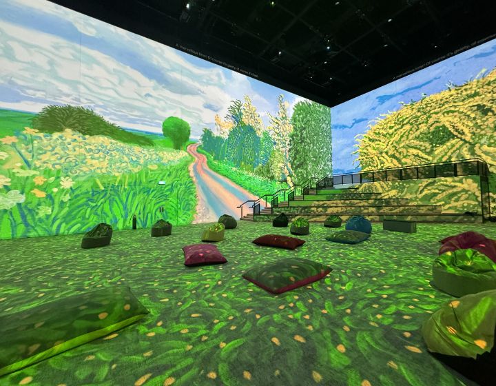 david hockney imba theatre - best kid friendly museums and art exhibitions in singapore