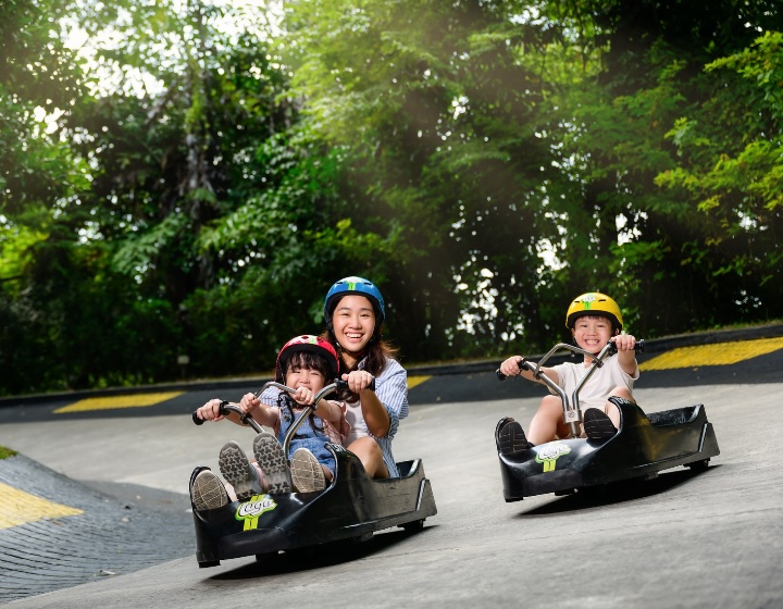 june holiday activities singapore - skyline luge