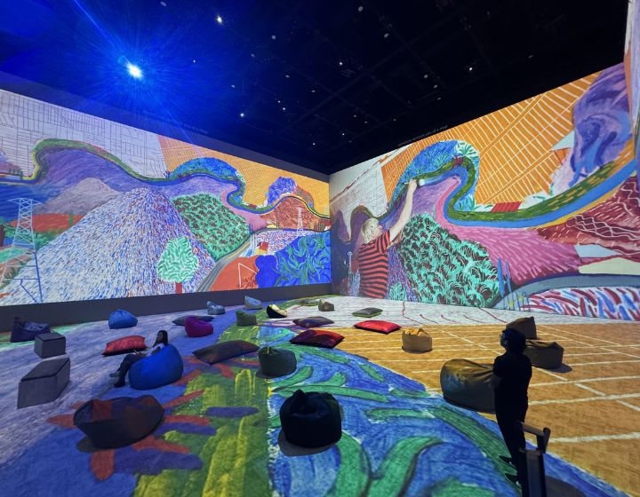 kid-friendly exhibitions in singapore - david hockney imba theatre