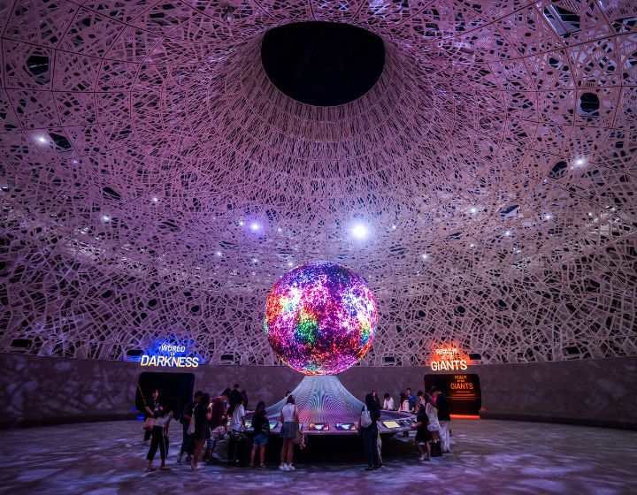 kid-friendly exhibitions in singapore - museums - exploria mandai