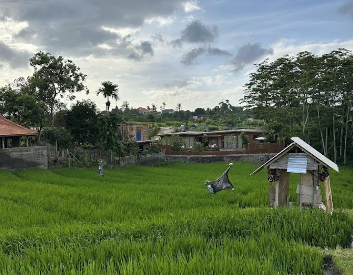 short trips from singapore - bali 