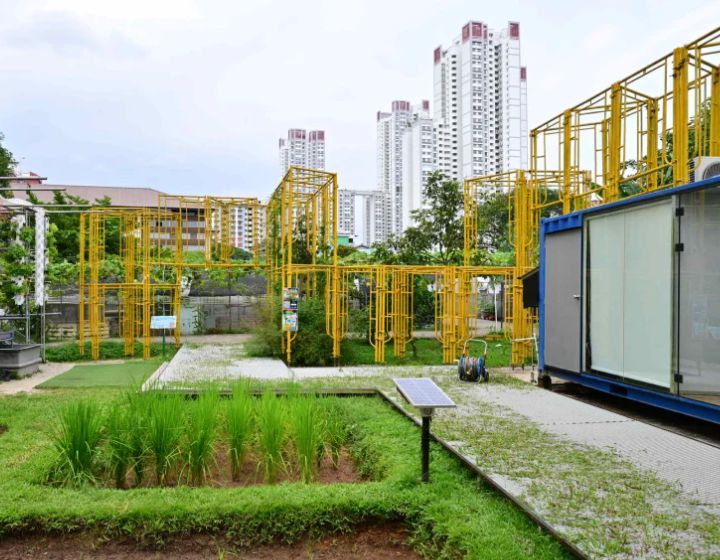 weekend markets in singapore - city sprouts henderson