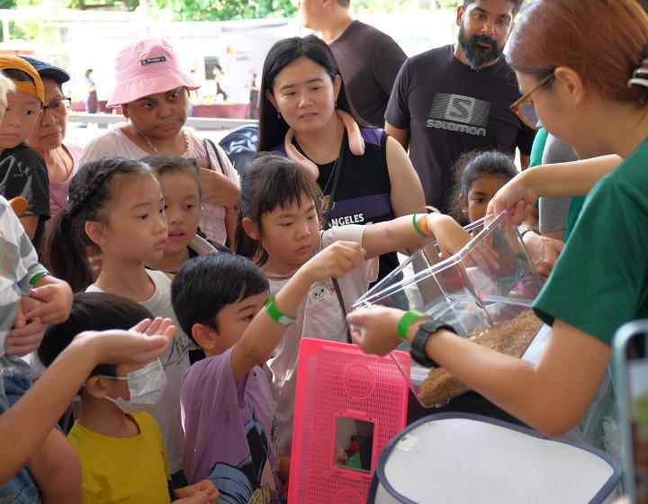 city sprouts farm day out - things to do this weekend in singapore with kids