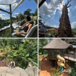 rainforest wild adventure at mandai