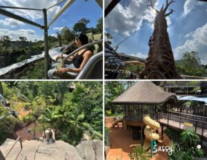 rainforest wild adventure at mandai