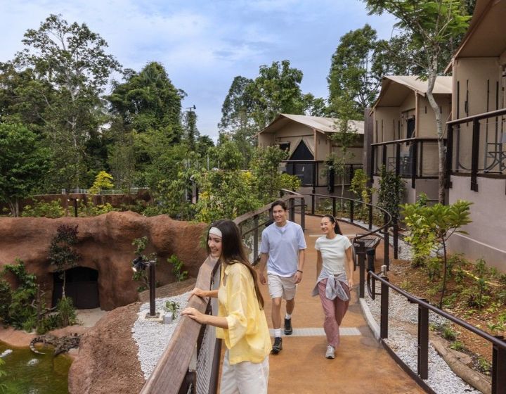 year-end holiday activities with kids - glamping at rainforest wild adventure singapore - crocodile lodge