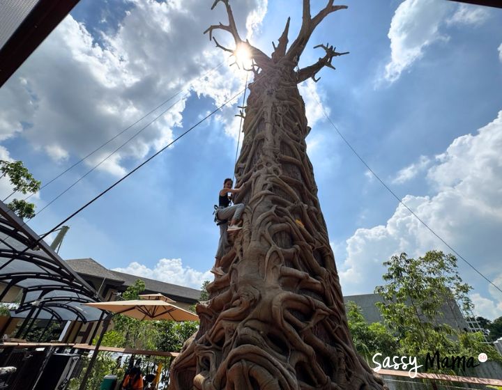 rainforest wild adventure singapore review guide - primate climb