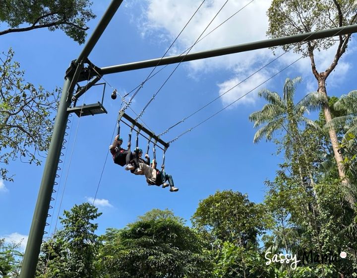rainforest wild adventure singapore review guide - ravine swing