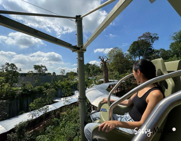 rainforest wild adventure singapore review guide - canopy glider