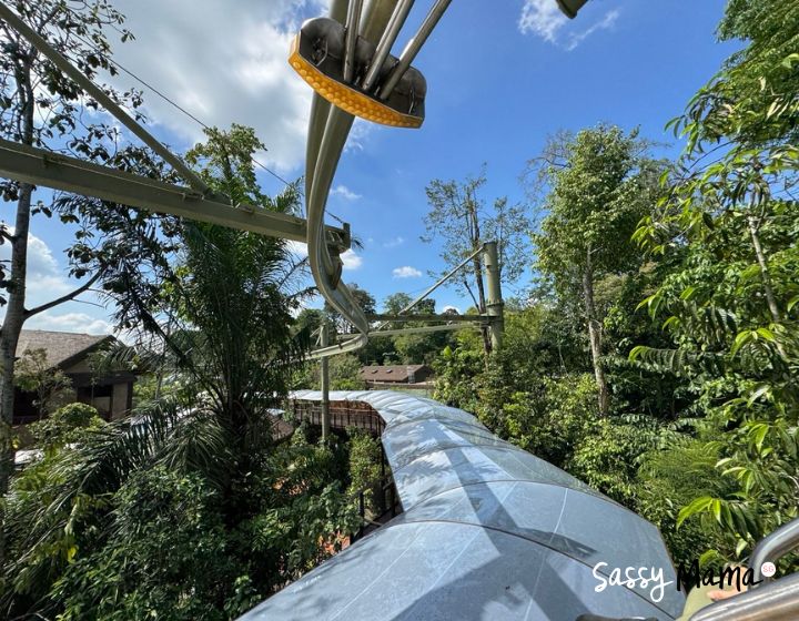 rainforest wild adventure singapore review guide - canopy glider