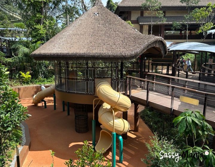 rainforest wild adventure singapore review guide -