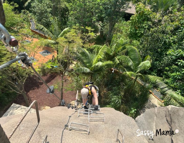rainforest wild adventure singapore review guide - split rock summit