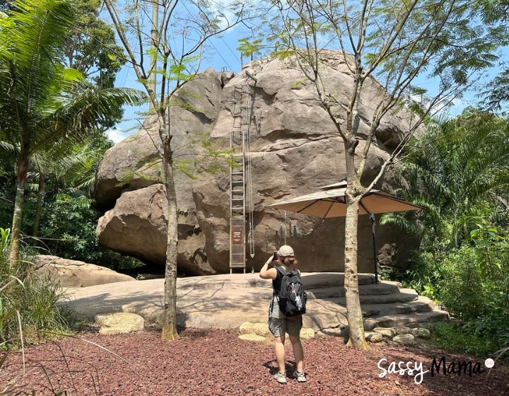 rainforest wild adventure singapore review guide -