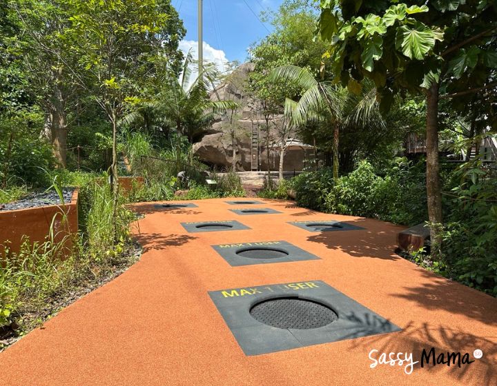 rainforest wild adventure singapore review guide -