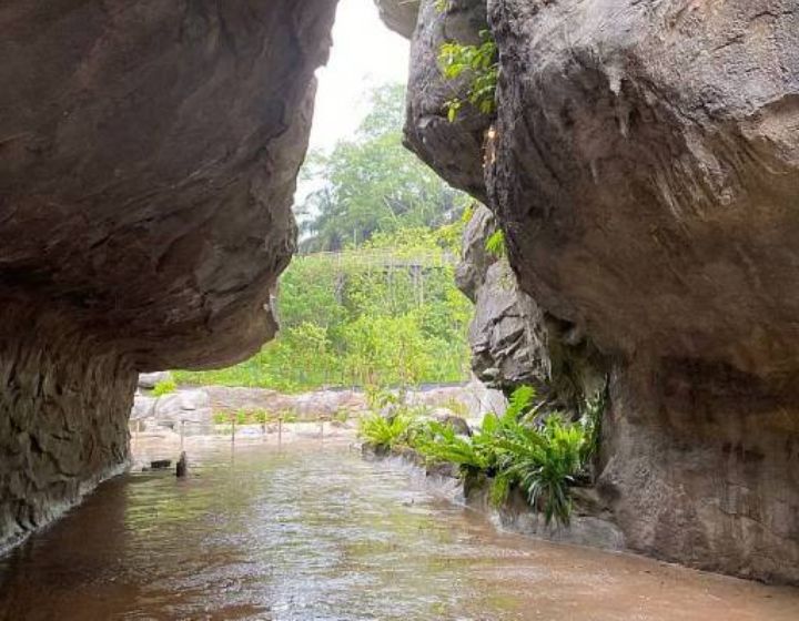 rainforest wild asia singapore review, photos, guide - entrance gorge
