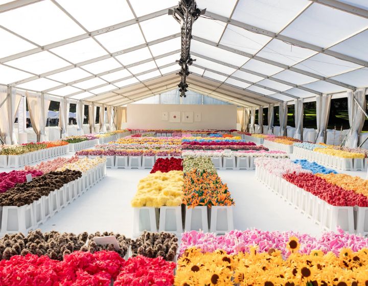 things to do this weekend in singapore - flower market at imba theatre cj hendry