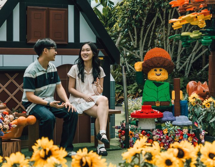 things to do in singapore this weekend with kids - jewel blooms lego flowers