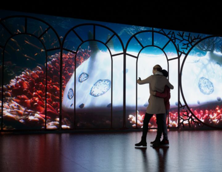 things to do in singapore this weekend - one ocean science centre exhibit