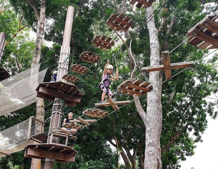 obstacle course singapore - forest adventure