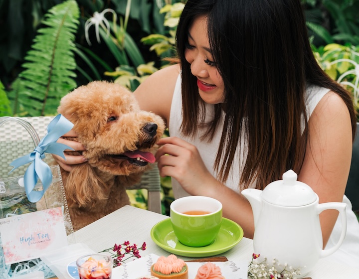 pet-friendly restaurant singapore - wildseed cafe