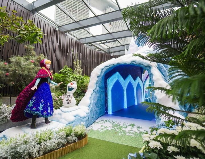 things to do in singapore this weekend - disney garden of wonder
