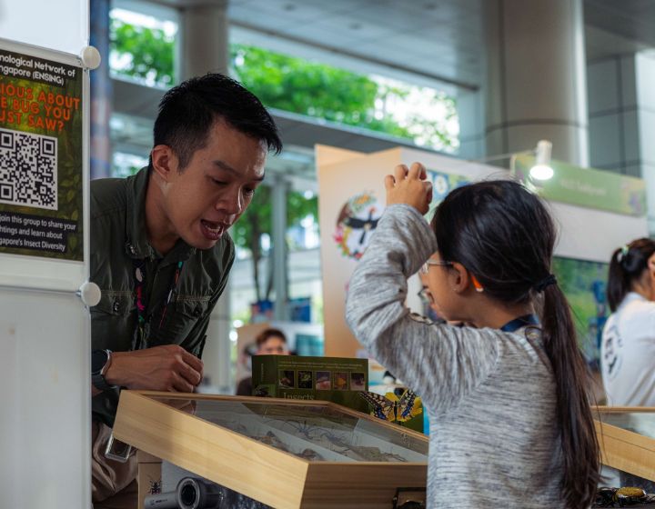 things to do in singapore this weekend - festival of biodiversity