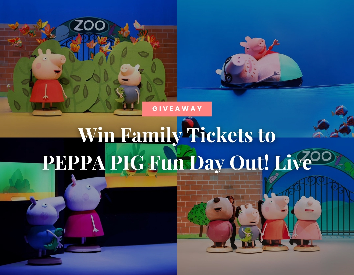 August 2026 Giveaway - PEPPA PIG Fun Day Out!
