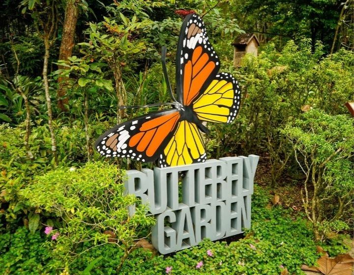 hortpark singapore butterfly garden