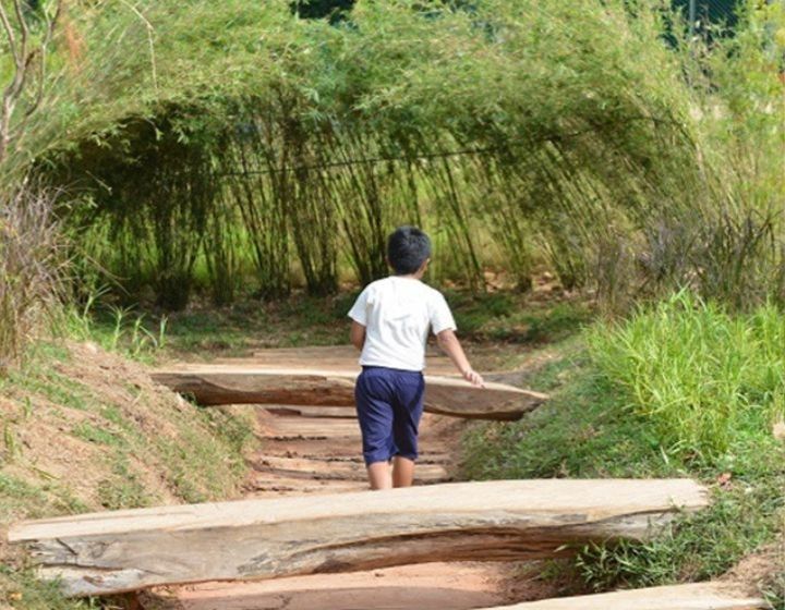 hortpark singapore nature playgarden
