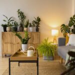 plant shops in singapore