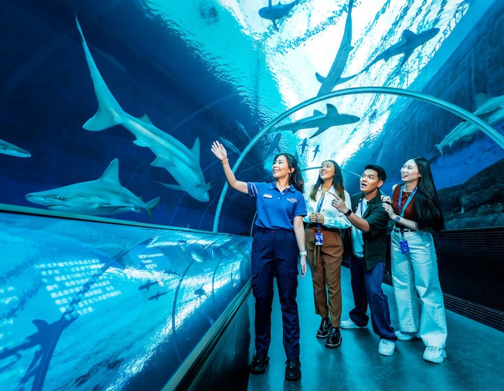 whats new in august 2026 - singapore oceanarium