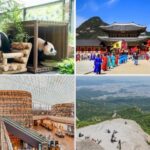 best things to do in seoul hero image